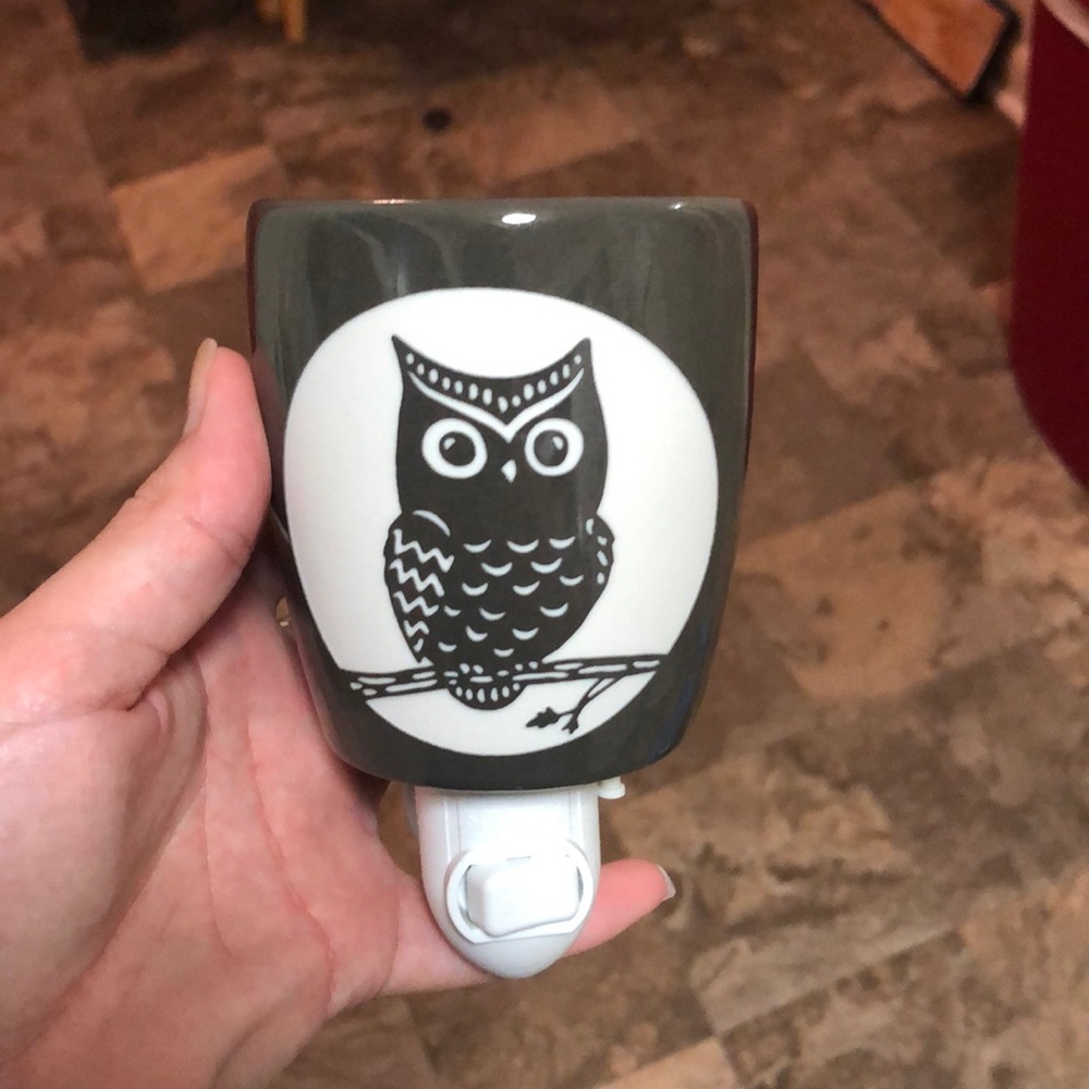 Plug in scentsy burner